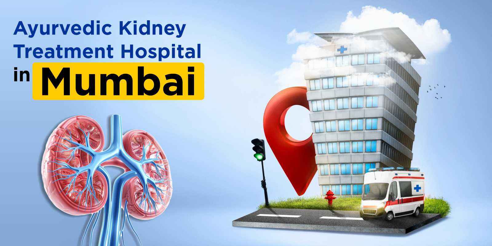 Ayurvedic Kidney Treatment Hospital in Mumbai